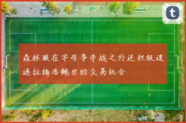 森林狼在字母争夺战之外还积极追逐拉梅洛鲍尔的交易机会