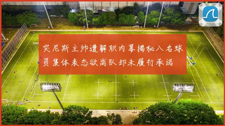 突尼斯主帅遭解职内幕揭秘八名球员集体表态欲离队却未履行承诺