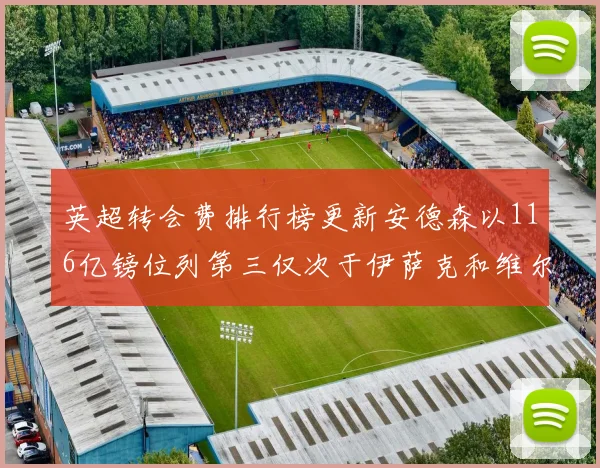 英超转会费排行榜更新安德森以116亿镑位列第三仅次于伊萨克和维尔茨